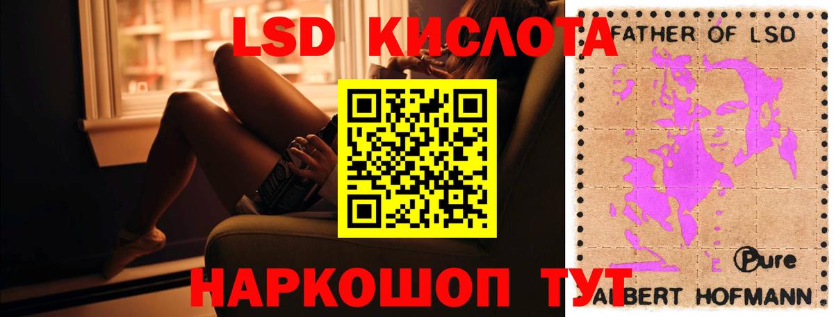 блэк спрут как зайти  Лсд 25 экстази  Зеленогорск  Вход с VPN  Лсд 25 экстази ecstasy  ЛСД экстази ecstasy 