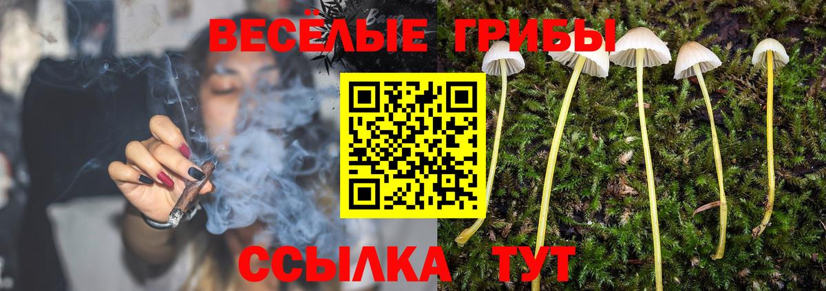 наркота  Вход с VPN  Зеленогорск  Псилоцибиновые грибы мухоморы 